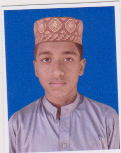 মো: রফিকুল ইসলাম